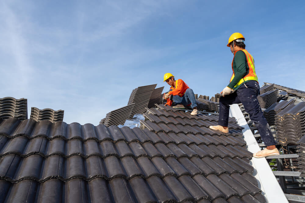 Roof Maintenance